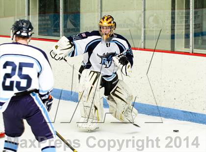 Thumbnail 3 in Monarch @ Ralston Valley photogallery.