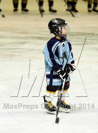 Thumbnail 2 in Monarch @ Ralston Valley photogallery.