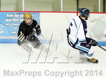 Thumbnail 1 in Monarch @ Ralston Valley photogallery.