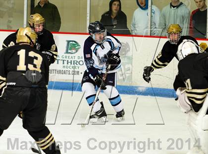 Thumbnail 2 in Monarch @ Ralston Valley photogallery.
