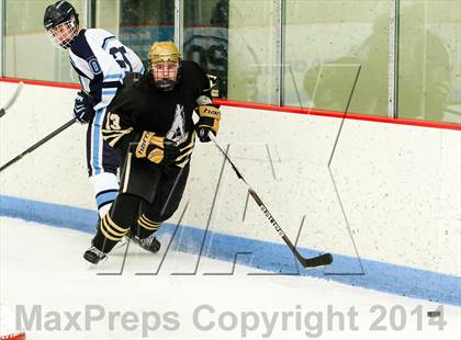 Thumbnail 3 in Monarch @ Ralston Valley photogallery.