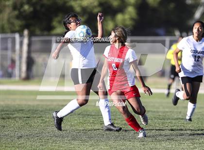 Thumbnail 3 in Weston Ranch @ East Union photogallery.