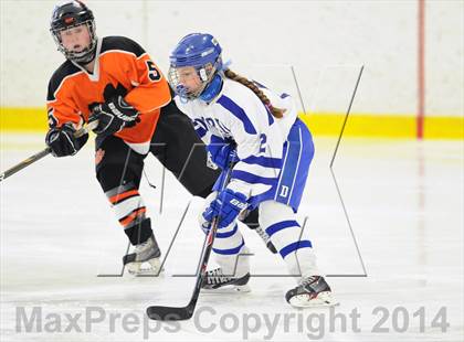 Thumbnail 3 in Darien vs. Ridgefield/Immaculate (FCIAC Final)  photogallery.