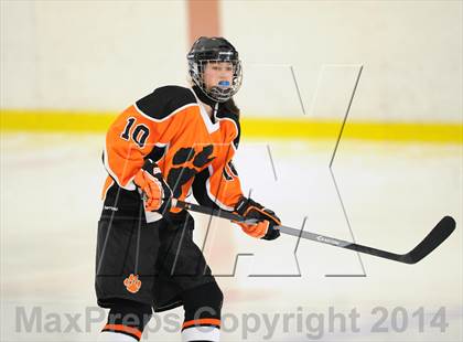Thumbnail 3 in Darien vs. Ridgefield/Immaculate (FCIAC Final)  photogallery.