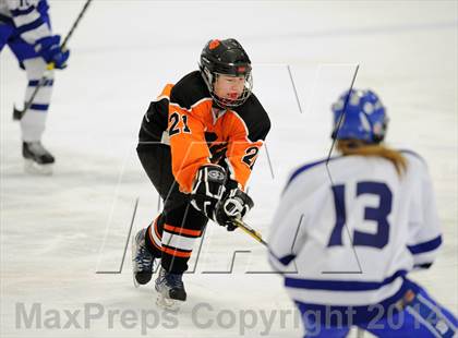 Thumbnail 3 in Darien vs. Ridgefield/Immaculate (FCIAC Final)  photogallery.