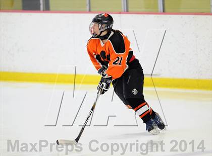 Thumbnail 1 in Darien vs. Ridgefield/Immaculate (FCIAC Final)  photogallery.