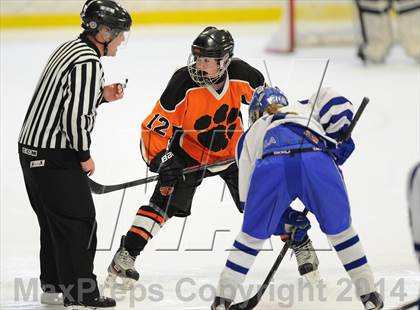Thumbnail 3 in Darien vs. Ridgefield/Immaculate (FCIAC Final)  photogallery.