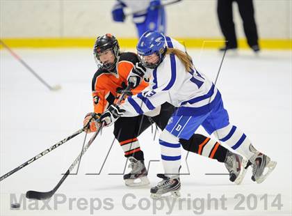 Thumbnail 1 in Darien vs. Ridgefield/Immaculate (FCIAC Final)  photogallery.