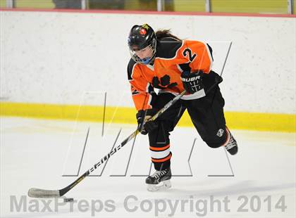 Thumbnail 3 in Darien vs. Ridgefield/Immaculate (FCIAC Final)  photogallery.