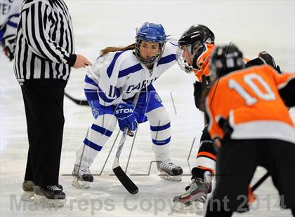 Thumbnail 2 in Darien vs. Ridgefield/Immaculate (FCIAC Final)  photogallery.