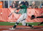 Photo from the gallery "Colony @ Wasilla "