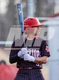 Photo from the gallery "Colony @ Wasilla "