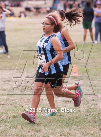 Thumbnail 1 in Modesto Metro Conference Cross County League Meet photogallery.