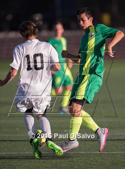 Thumbnail 3 in Fossil Ridge @ Mountain Vista photogallery.