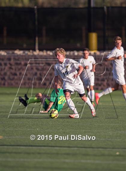 Thumbnail 3 in Fossil Ridge @ Mountain Vista photogallery.