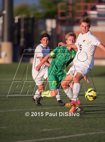 Thumbnail 3 in Fossil Ridge @ Mountain Vista photogallery.