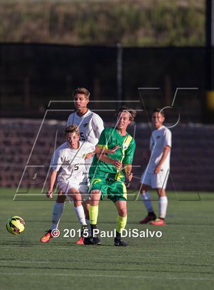 Thumbnail 2 in Fossil Ridge @ Mountain Vista photogallery.