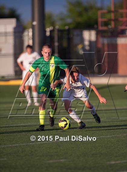 Thumbnail 1 in Fossil Ridge @ Mountain Vista photogallery.