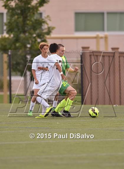 Thumbnail 3 in Fossil Ridge @ Mountain Vista photogallery.