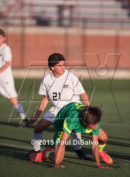 Thumbnail 1 in Fossil Ridge @ Mountain Vista photogallery.