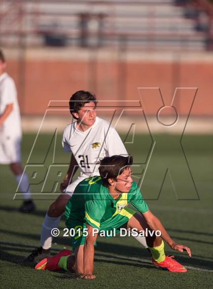 Thumbnail 3 in Fossil Ridge @ Mountain Vista photogallery.