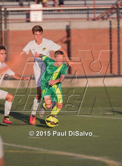 Thumbnail 3 in Fossil Ridge @ Mountain Vista photogallery.