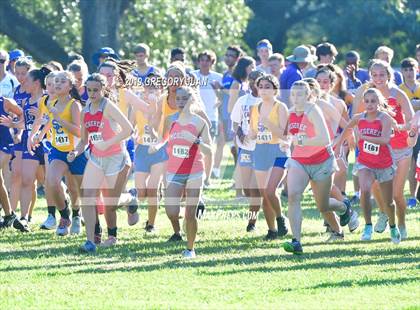 Thumbnail 3 in Newman Cross Country Meet photogallery.