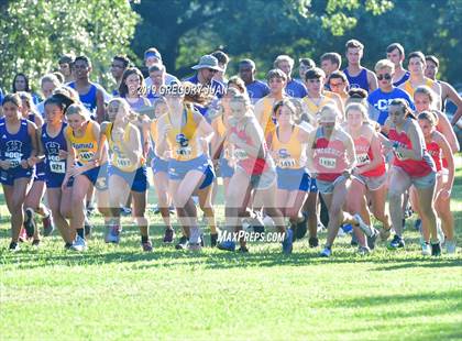 Thumbnail 2 in Newman Cross Country Meet photogallery.