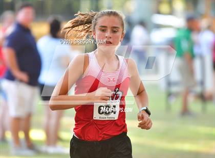 Thumbnail 1 in Newman Cross Country Meet photogallery.