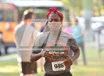 Thumbnail 3 in Newman Cross Country Meet photogallery.