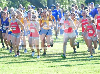 Thumbnail 1 in Newman Cross Country Meet photogallery.