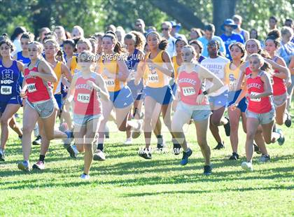 Thumbnail 2 in Newman Cross Country Meet photogallery.