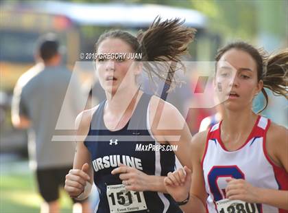 Thumbnail 1 in Newman Cross Country Meet photogallery.