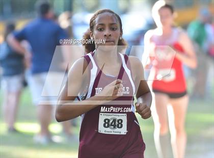 Thumbnail 3 in Newman Cross Country Meet photogallery.