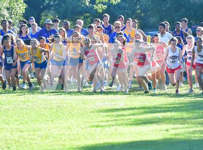 Thumbnail 1 in Newman Cross Country Meet photogallery.