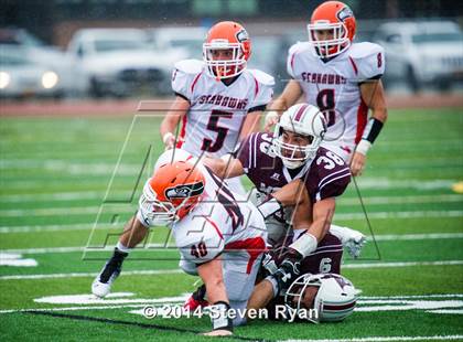 Thumbnail 1 in Carey @ Mepham photogallery.