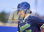 Photo from the gallery "Spoto @ Sumner"