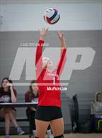 Photo from the gallery "American Leadership Academy - Ironwood vs. Snowflake (Spiketown Invitational)"