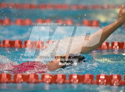 Thumbnail 3 in CHSAA 4A Girls Swimming - State Championship photogallery.