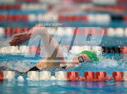 Thumbnail 1 in CHSAA 4A Girls Swimming - State Championship photogallery.