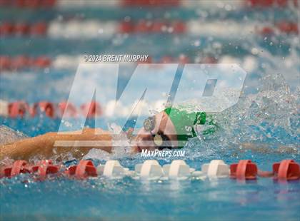 Thumbnail 2 in CHSAA 4A Girls Swimming - State Championship photogallery.