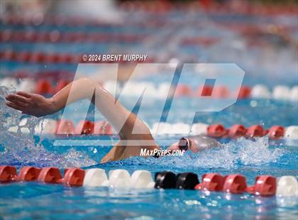 Thumbnail 1 in CHSAA 4A Girls Swimming - State Championship photogallery.