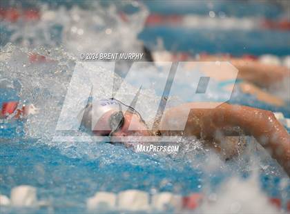 Thumbnail 2 in CHSAA 4A Girls Swimming - State Championship photogallery.