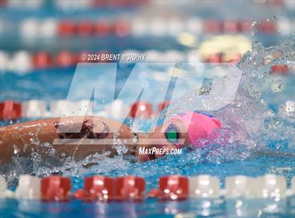 Thumbnail 1 in CHSAA 4A Girls Swimming - State Championship photogallery.
