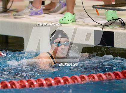 Thumbnail 1 in CHSAA 4A Girls Swimming - State Championship photogallery.