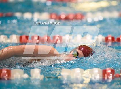 Thumbnail 1 in CHSAA 4A Girls Swimming - State Championship photogallery.