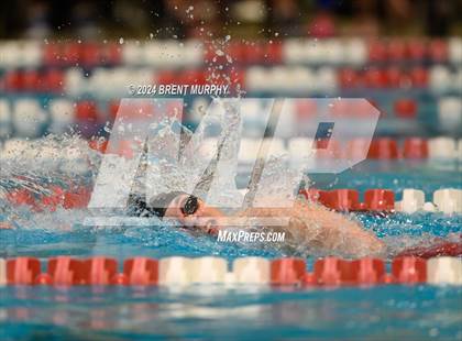 Thumbnail 3 in CHSAA 4A Girls Swimming - State Championship photogallery.