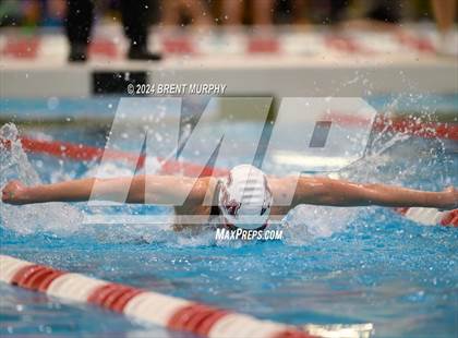 Thumbnail 2 in CHSAA 4A Girls Swimming - State Championship photogallery.