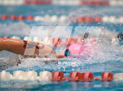 Thumbnail 2 in CHSAA 4A Girls Swimming - State Championship photogallery.