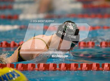Thumbnail 1 in CHSAA 4A Girls Swimming - State Championship photogallery.